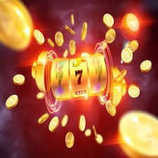 12vip